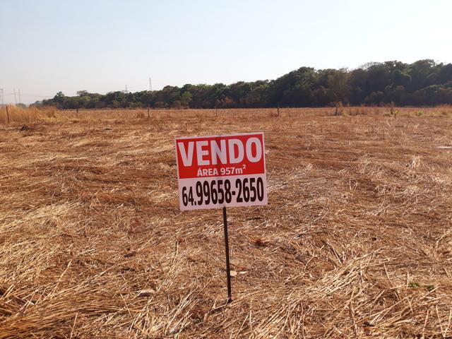 Área 5 km de Rio Verde,previsão esse ano para asfalto ,ao lado do futuro anel viário - Foto 3