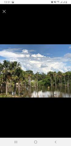 Chácara Goiatuba Goiás - Foto 4