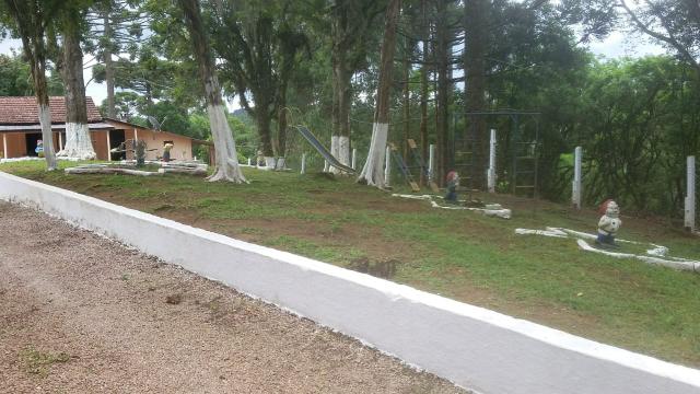 Oportunidade Sítio em Mandirituba - Foto 3