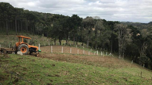 Oportunidade Sítio em Mandirituba - Foto 19