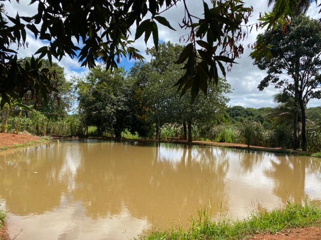 Fazenda 17 ha, riacho nos fundos, lagoa de peixes água por gravidade no quintal, Serra do  - Foto 3