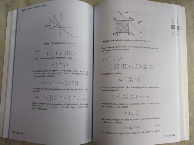 Livro: Álgebra Linear 2 - Foto 4