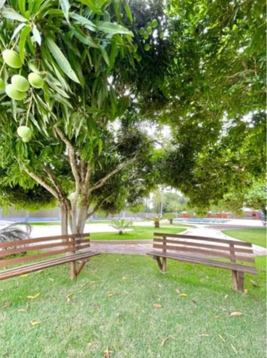 Sítio Casa de Campo Figueiras   - Foto 7