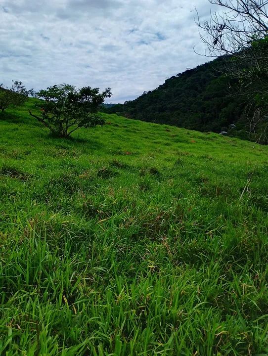 Fazenda a venda  - Foto 12
