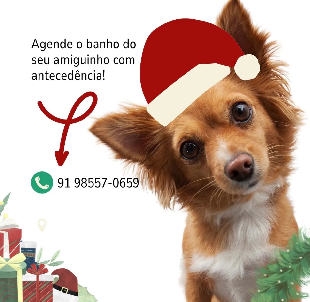 Banho para seu amiguinho! - Foto 2