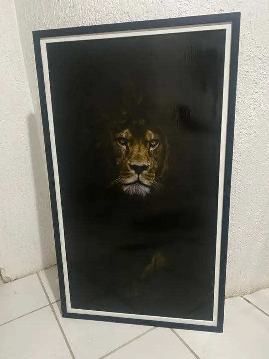 Quadro Decorativo