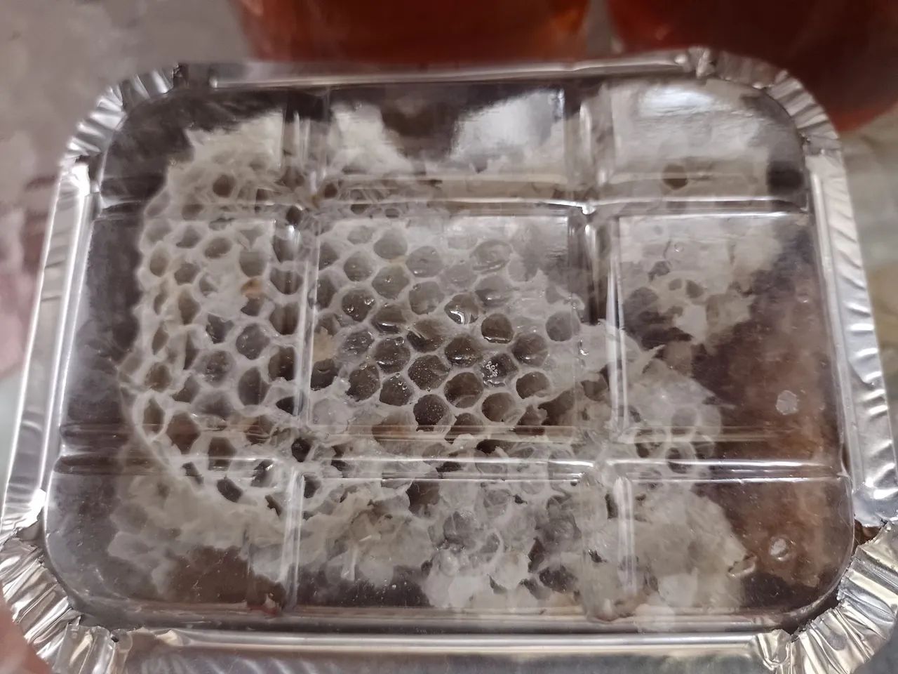 Mel Puro Silvestre - Favo - Própolis - leia por favor  - Foto 4