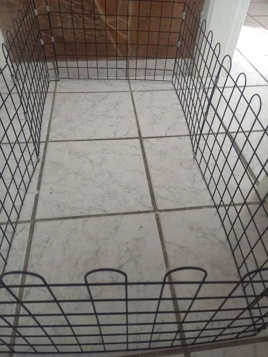 Cercado cercadinho pet - Foto 2