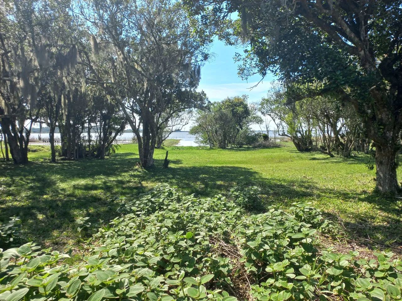 Propriedade exclusiva na Lagoa das Malvas em Maquiné - Foto 12