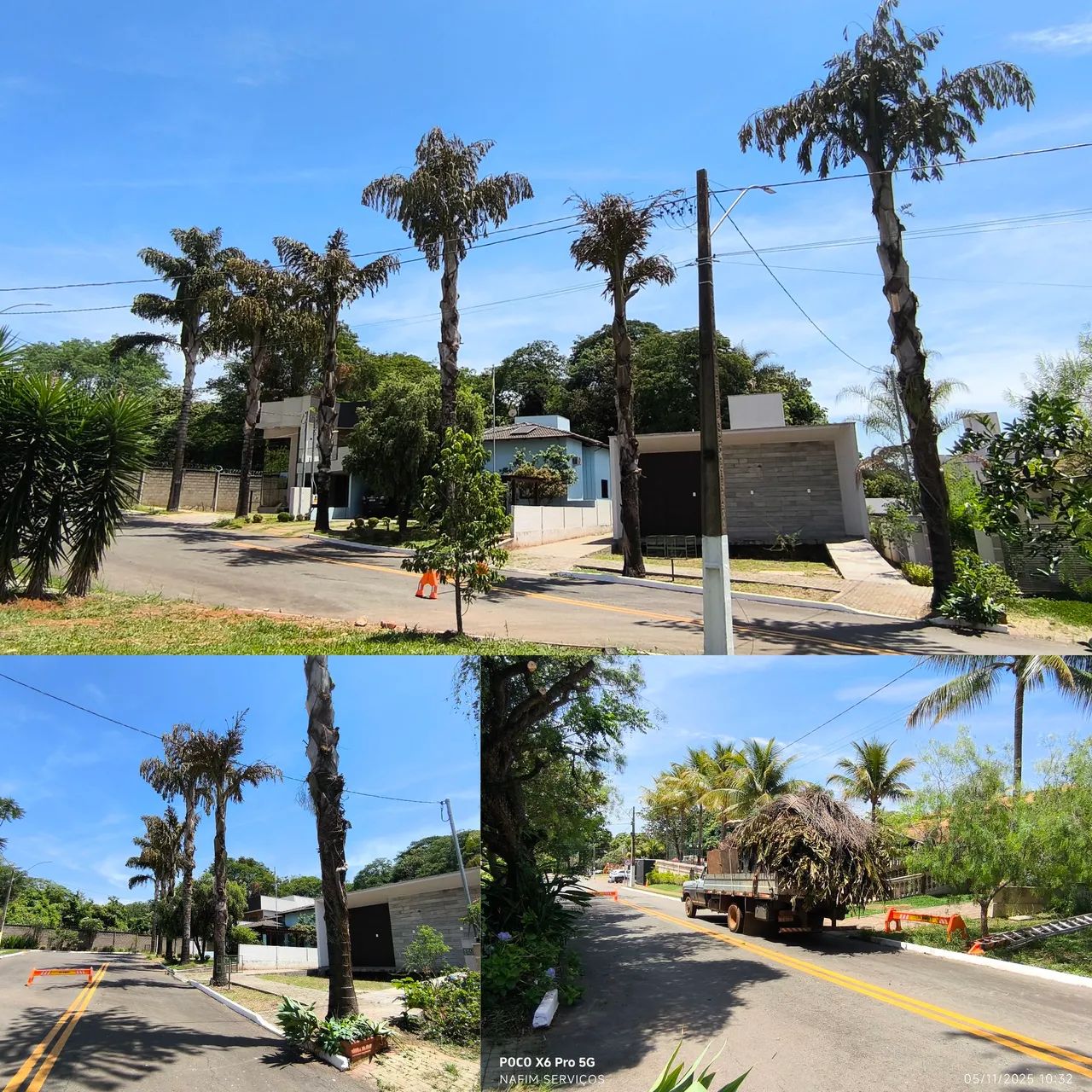 Serviços de jardinagem em geral  - Foto 2