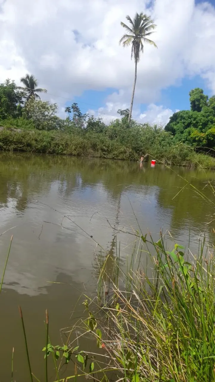 Chácara localizada em pov Brasília município de Neópolis valor150 mil *99
