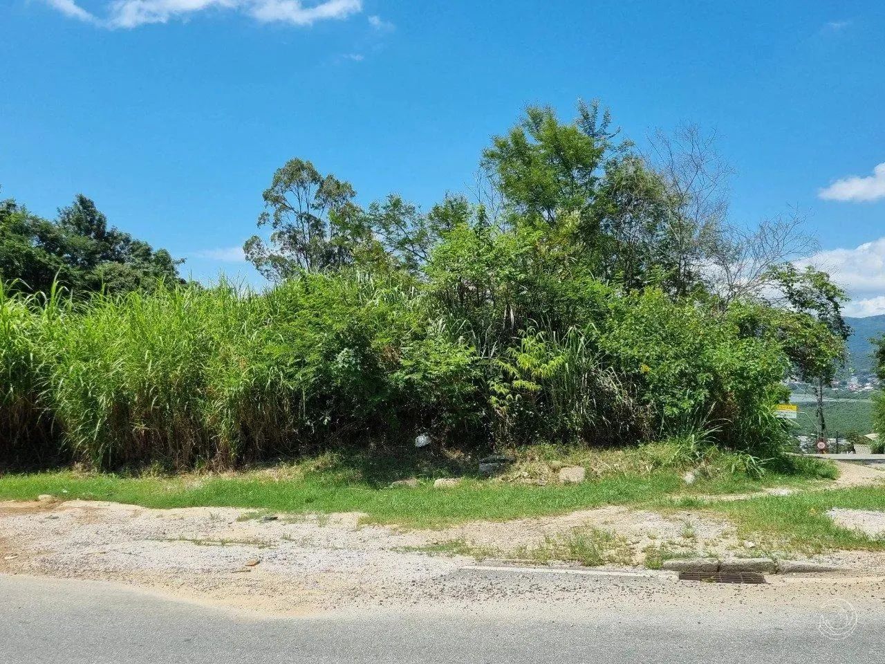 Terreno para Venda em Florianópolis, Agronômica - Foto 4
