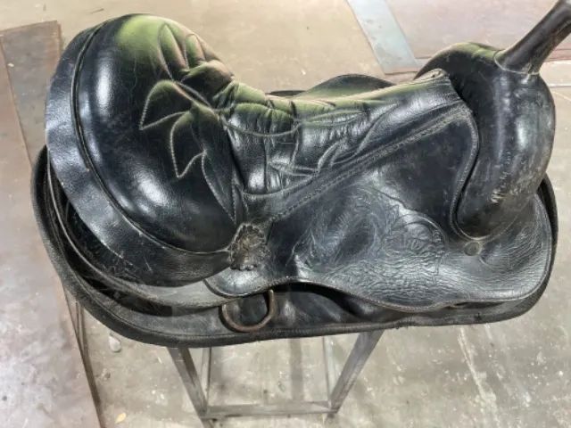 Cela americana  - Foto 2