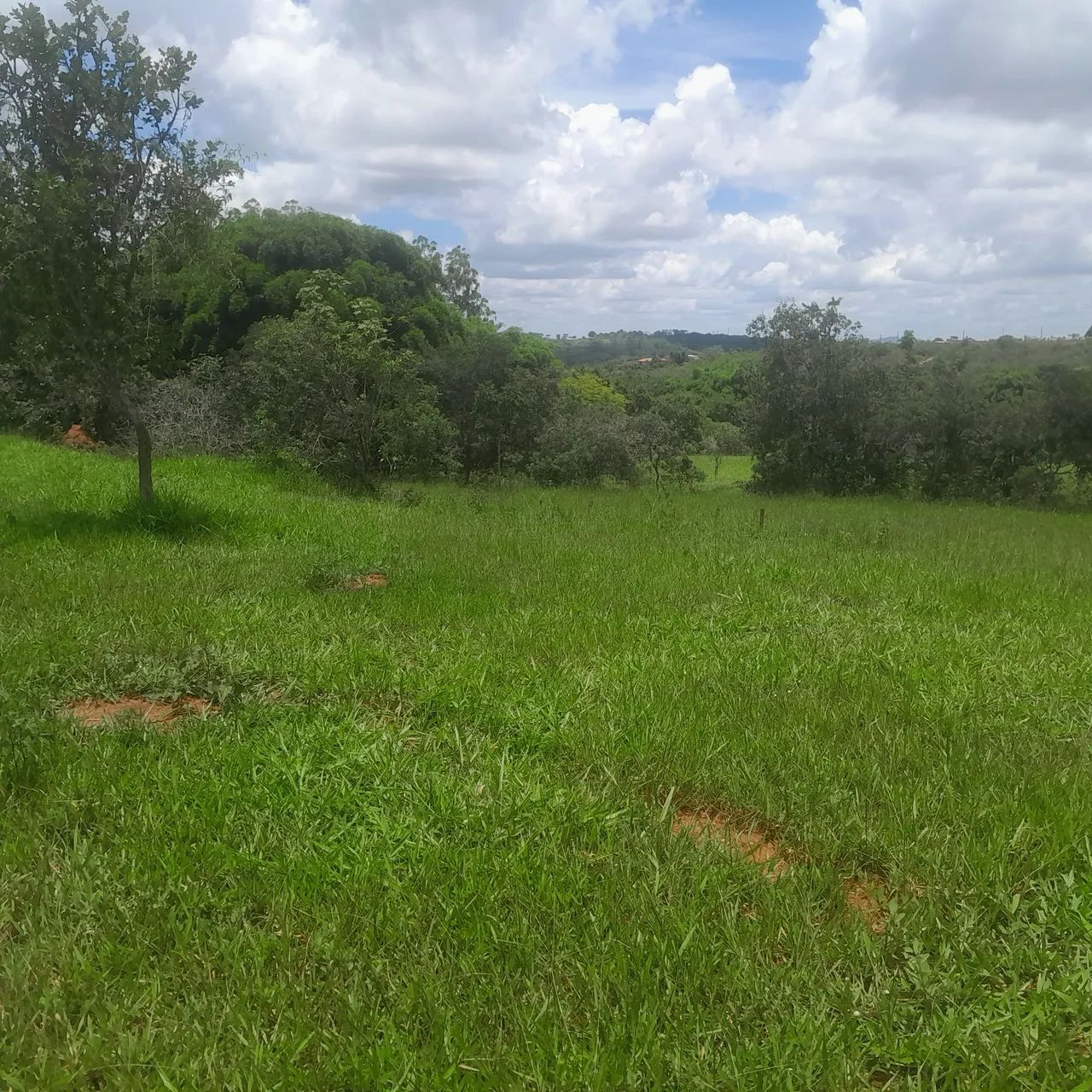 Terreno com área verde em ótima localização - Foto 3