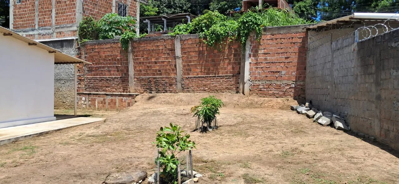 Alugo Casa em jardim paulista-