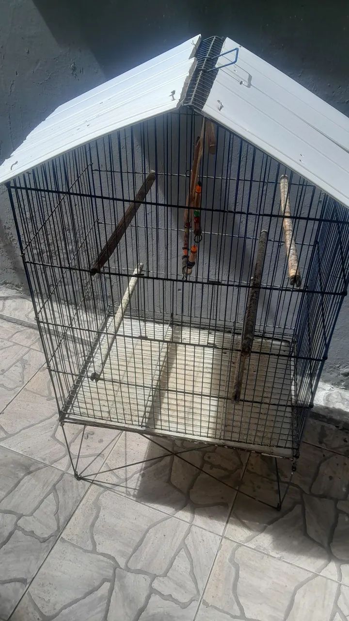 Gaiola64860947633411120