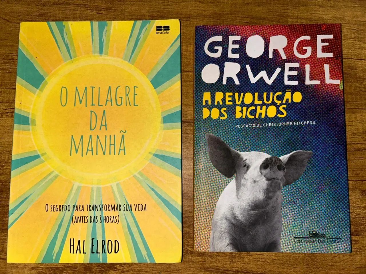 Livros em Ótimo Estado - Livros e revistas - Valentina de