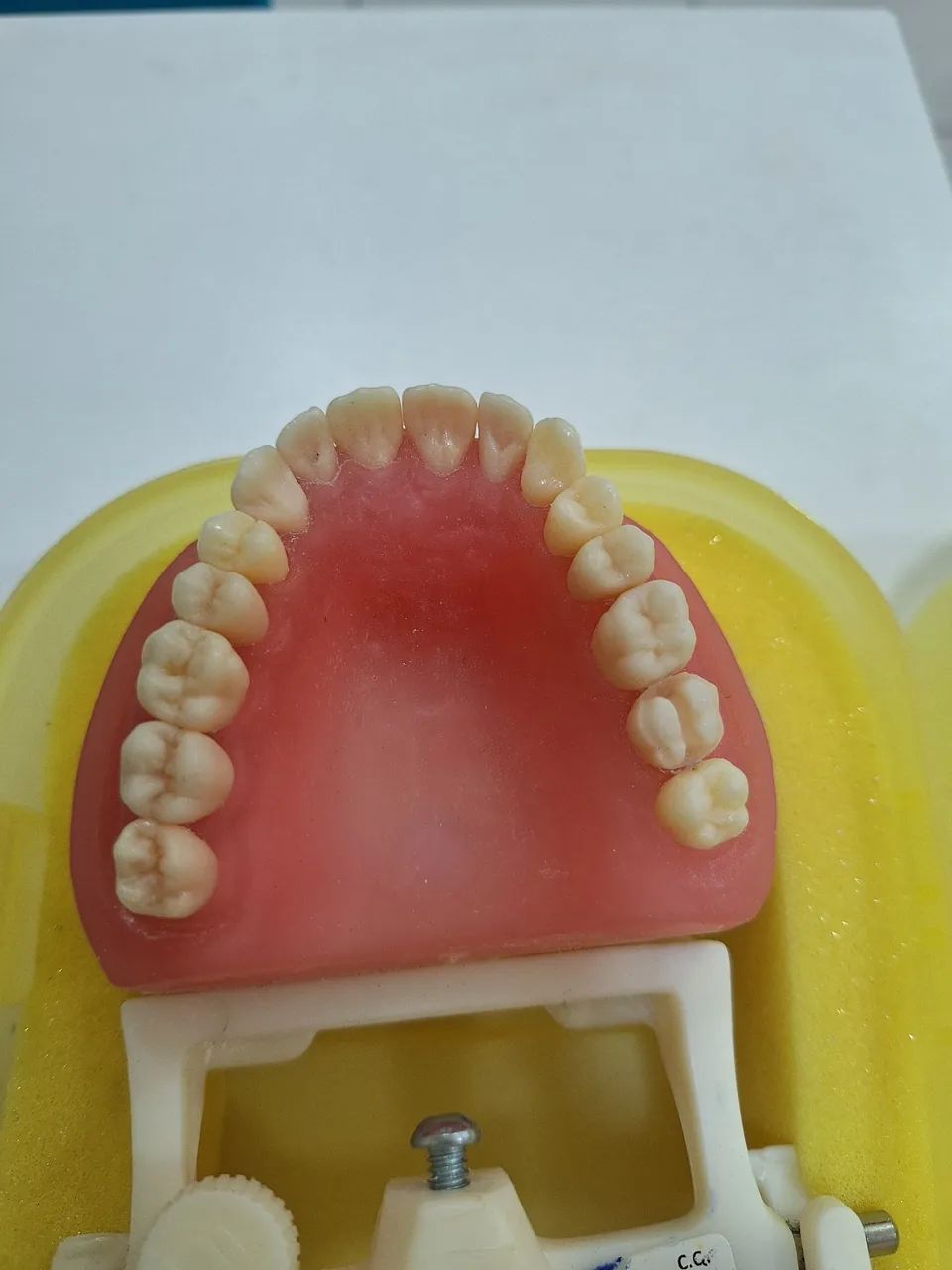 Modelo Dentística - Pronew ODONTOLOGIA  - Foto 3