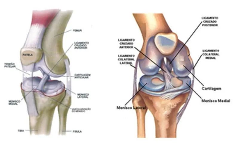 Joelheira Articulada Hidrolight Patelar com reforço de ferro nas laterais (M) - Foto 2