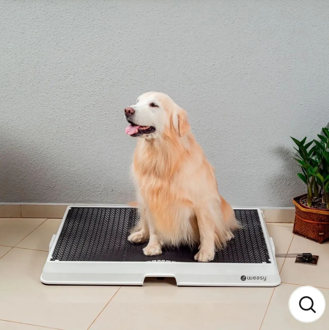 Tapetinho Higiênico Weasy Tamanho G