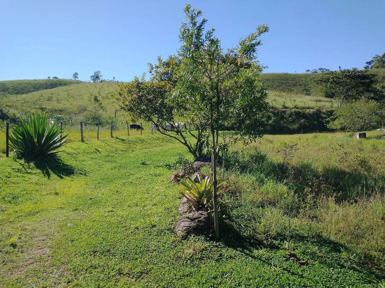 Fazendinha 15 Alqueires Cariacica  - Foto 2