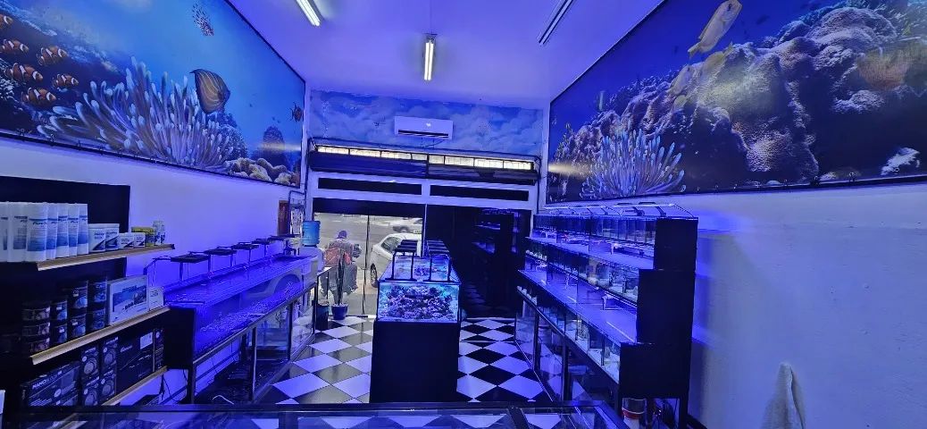 Passo ponto loja de aquarismo marinho em SP capital zonal sul- aceito veiculo - Foto 3