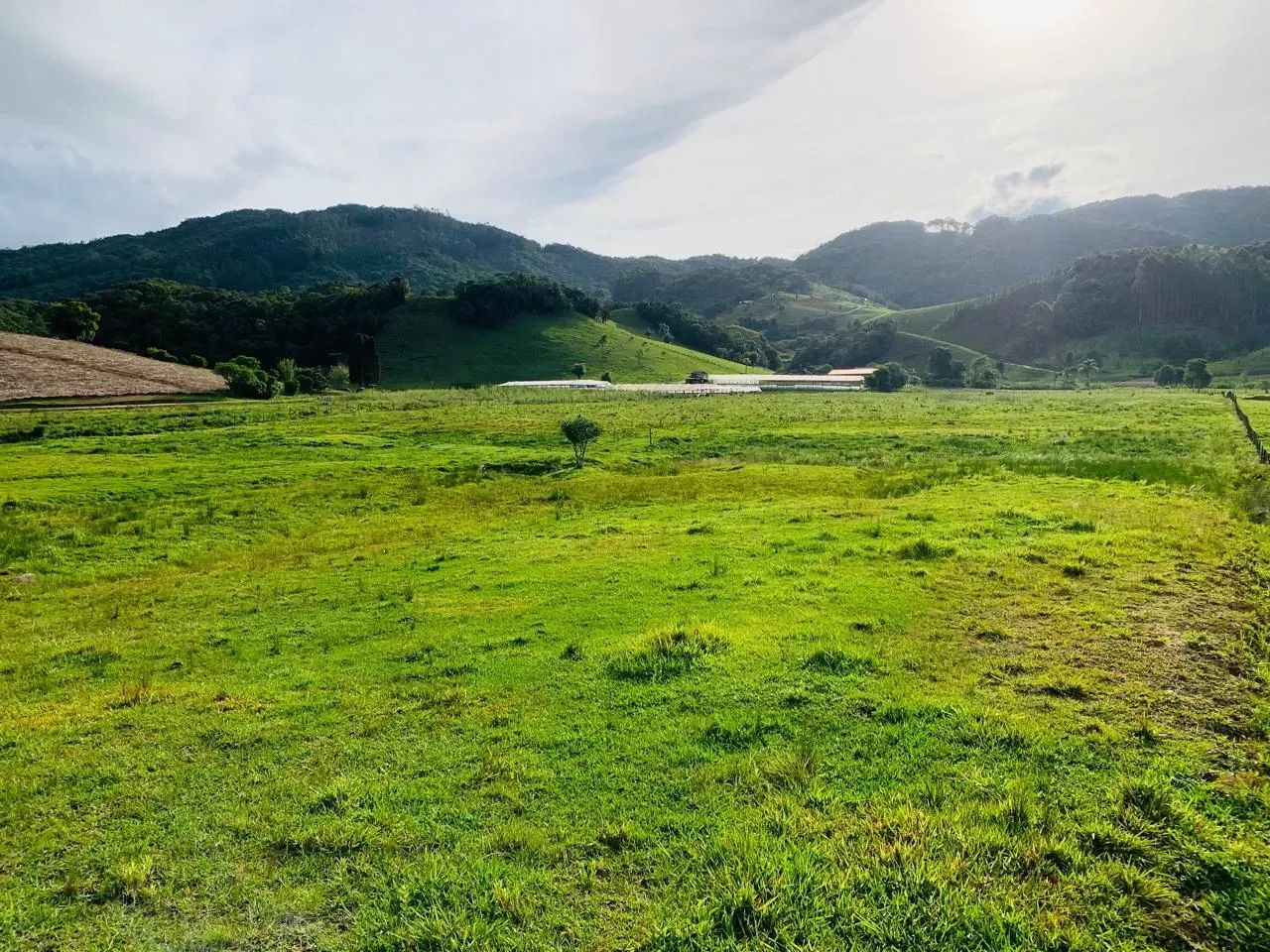 Sítio para Venda em Angelina, TERCEIRA LINHA, 1 dormitório, 1 vaga - Foto 2
