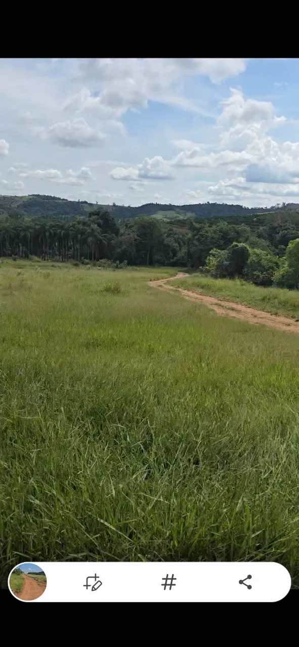 Fazenda Boa Esperança mg
