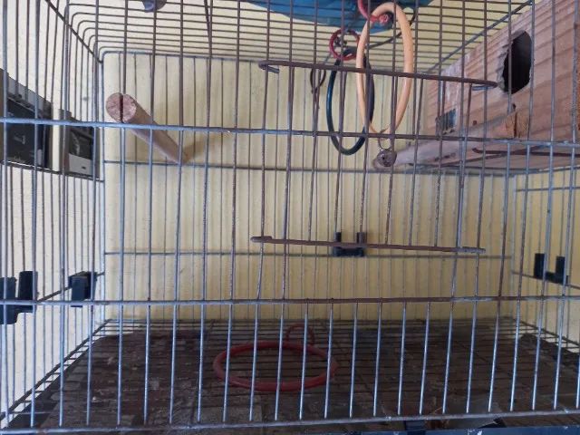 Viveiro pequeno!  - Foto 2