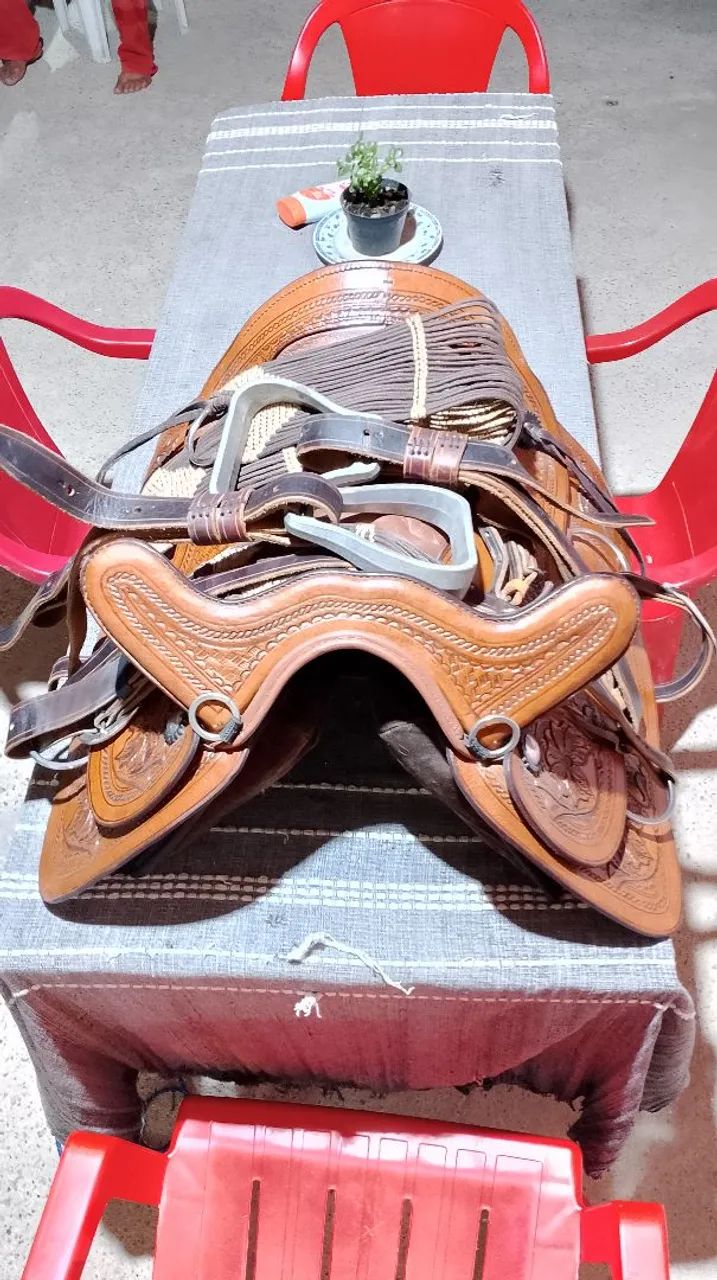 Vendo Cela de cavalo com nota fiscal e apenas 2 vezes de uso  - Foto 3