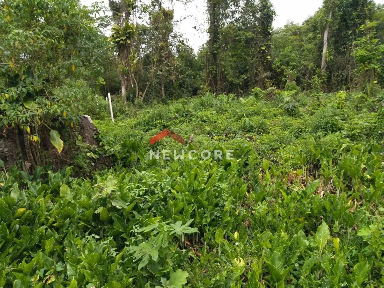 Chácara em Estrada Coronel Joaquim Branco - Vila Loty - Itanhaém/SP - Foto 5