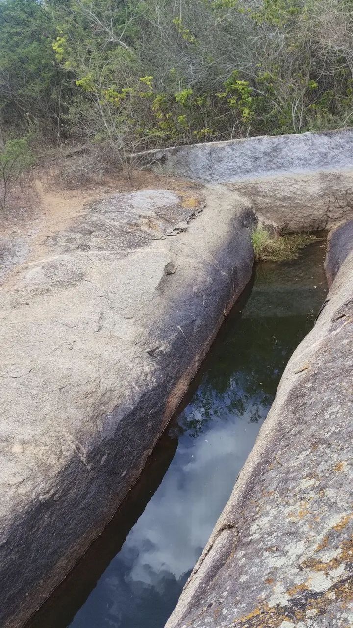17 hectares em Puxinanã - Foto 2
