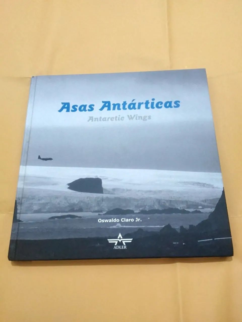 ASAS ANTARTICAS  - Foto 5