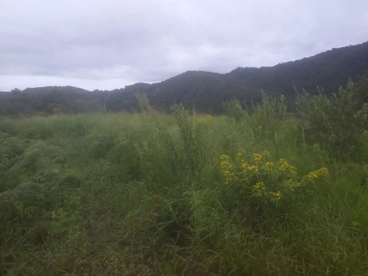 .Oportunidade única. chácara em Guaratinguetá - Foto 5