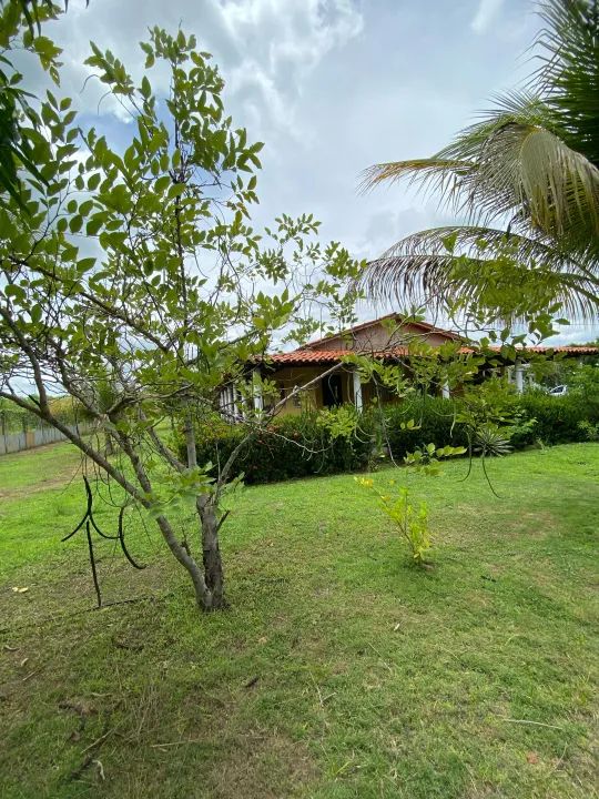 Sitio para venda tem 4.200 metros quadrados com 2 quartos em Povoado Campo Grande- Timon - - Foto 2