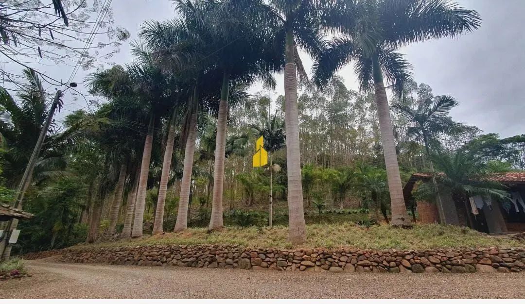 LINDO SÍTIO EM ÁREA INDUSTRIALNA CIDADE DE APIUNA SC - Foto 3