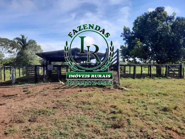 Fazenda 39 Alqueires Tocantins Região Araguaina - Foto 4