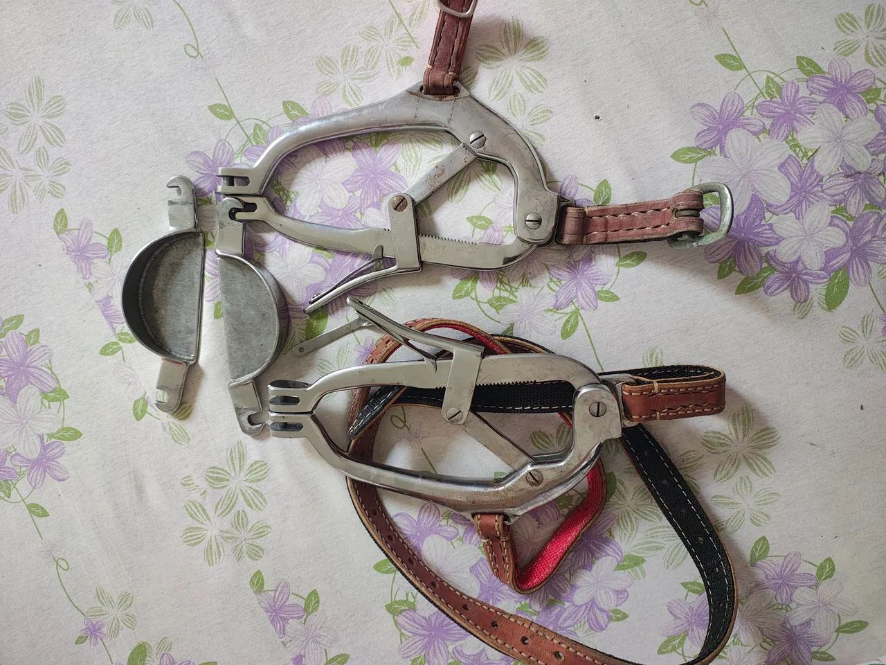 Odontologia Equina - Foto 3