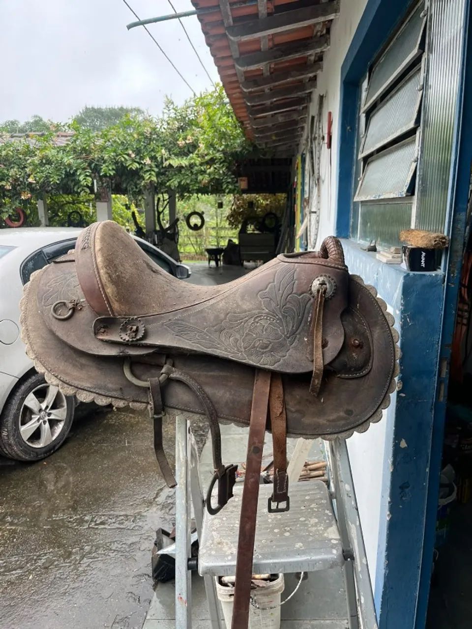 Cela de Cavalo - Foto 5