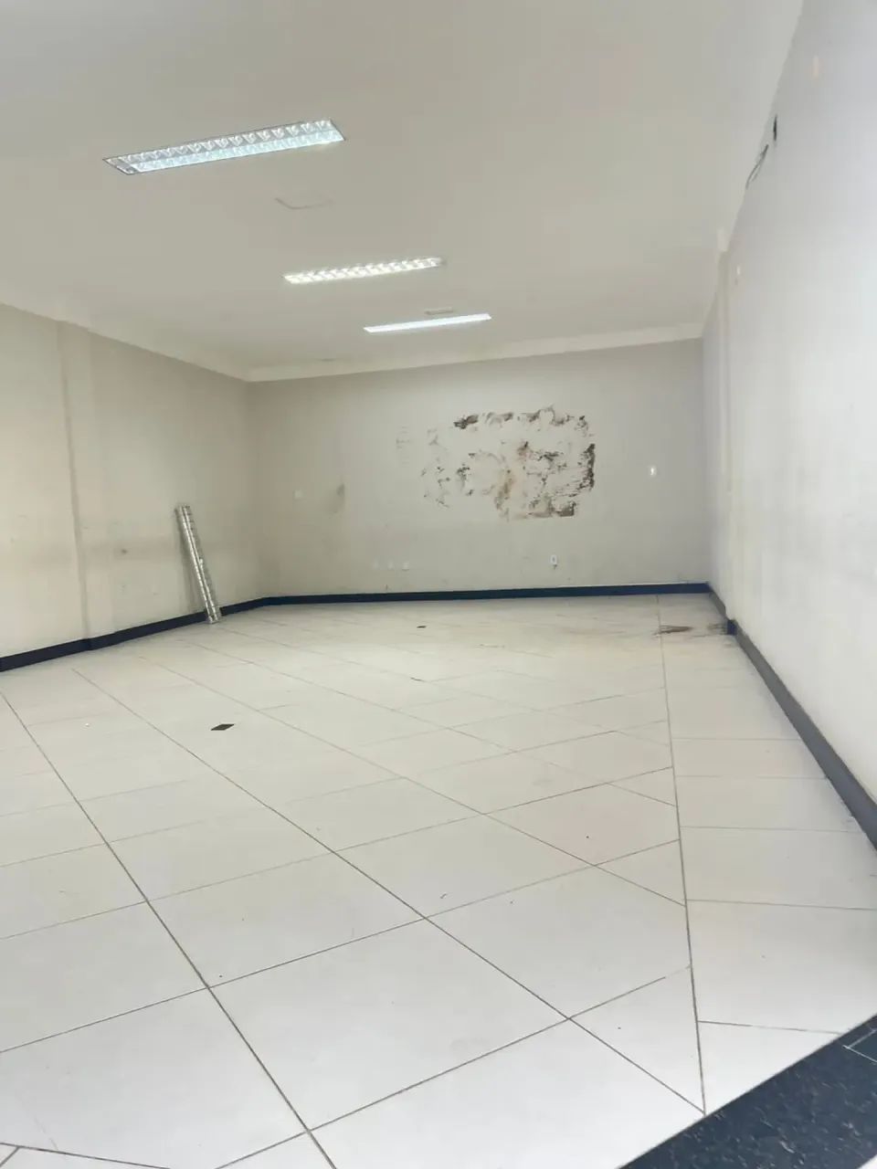 Conjunto Euclides Figueiredo | Prédio Comercial | 1.400m² - Foto 4