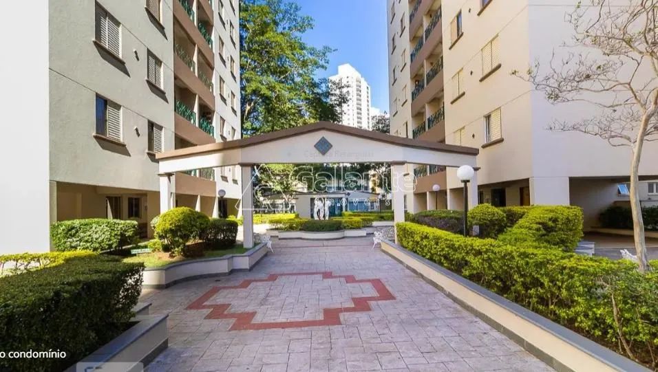 apartamento - Guanabara - Campinas - Foto 2
