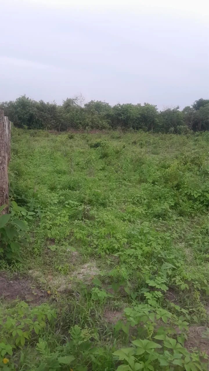 Terreno na Paraipaba - Foto 5