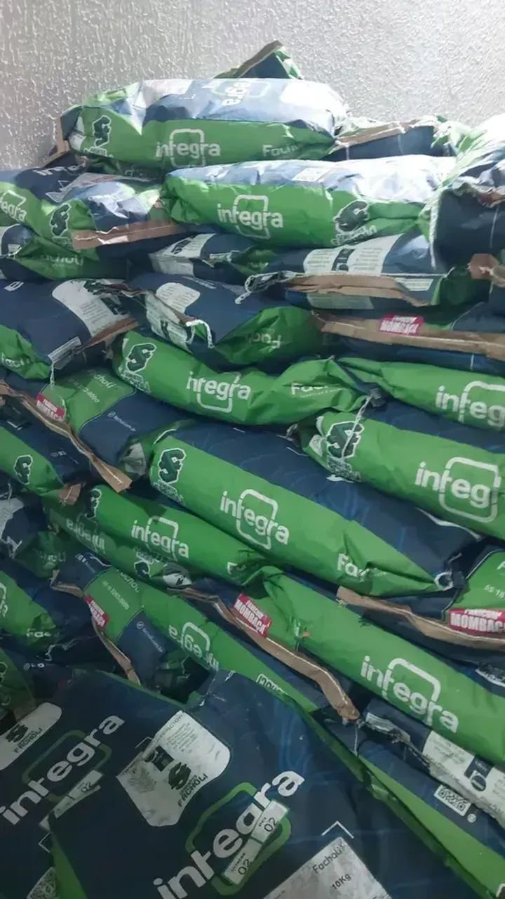 Semente de capim Mombaça 10kg revestida - Facholli(Nova) - Foto 4