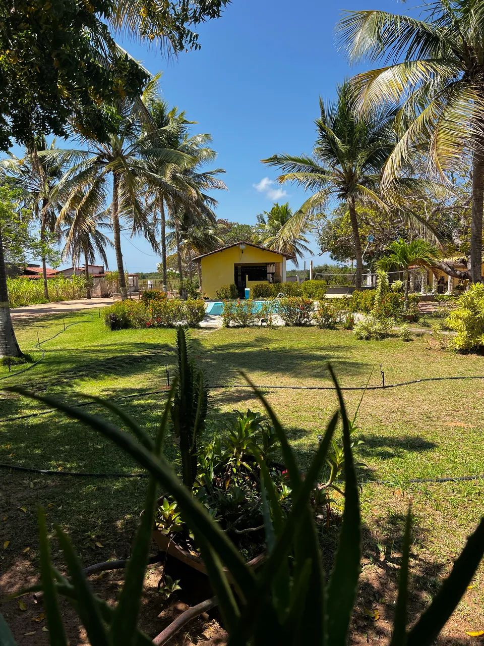 Vendo ou Alugo linda Chácara  - Foto 2