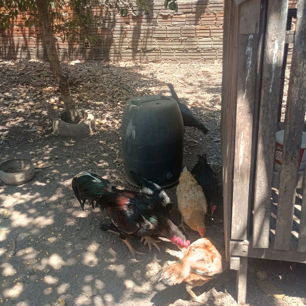 Vende-se  - Foto 2