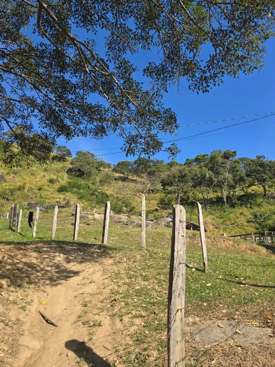 Sitio de 5 alqueires  na cidade  de Itapeva-MG - Foto 2