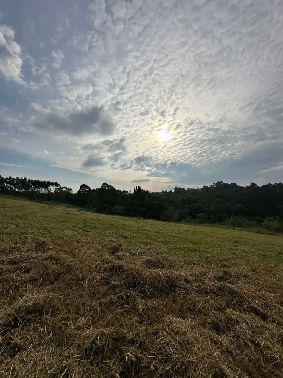 1.000m² em Mairinque/SP com condições imperdíveis - Foto 5