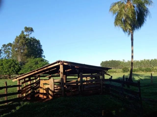 Chacará 7,30 hectares - Foto 3
