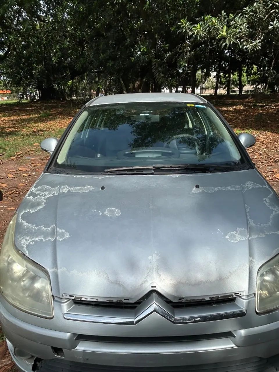 Citroën C4 C4 GLX 2.0 Flex 16V 5p Mec. 2010