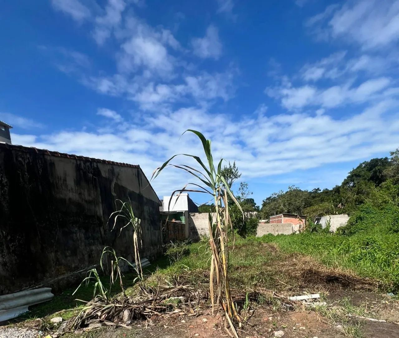 Terreno Peruíbe  - Foto 2